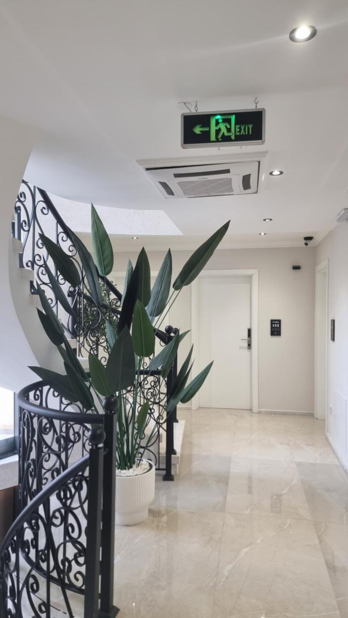 Hotel Luciano Στρούγκα Εξωτερικό φωτογραφία